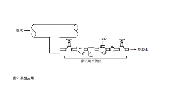 TD42熱動力型betway体育手机版登录閥安裝示意圖